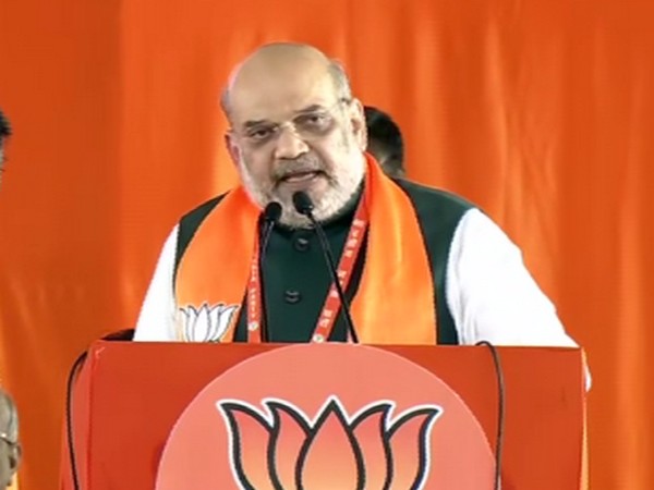 Union Home Minister Amit Shah (Photo/ANI)