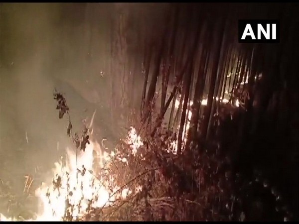 A fire in Tehri forest. Photo/ANI