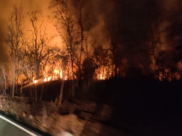 A major fire broke out in the Domalapenta forest range in the Nagarkurnool district on Monday