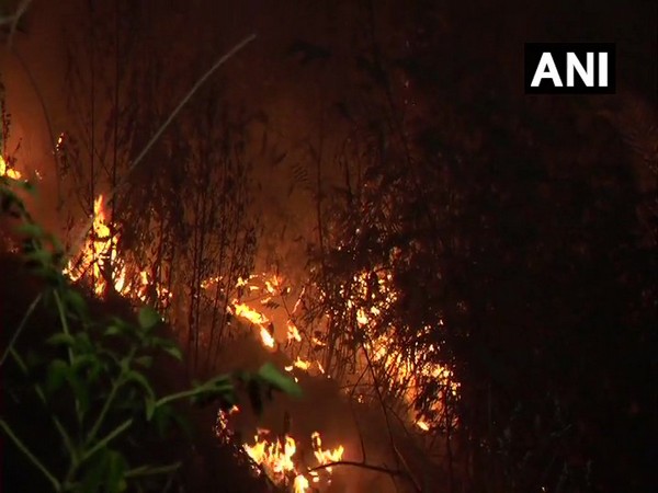 Visuals from fire site in Sangoor village.