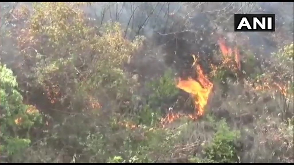 Fire in the forest of Bhilangna range in Tehri district
