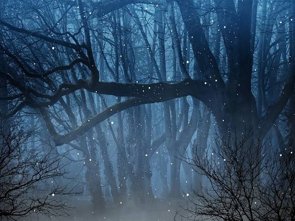 This finding offers a new understanding of how collective behaviour found in nature, such as fireflies flashing in unison, can arise even when the individual elements are distinct 