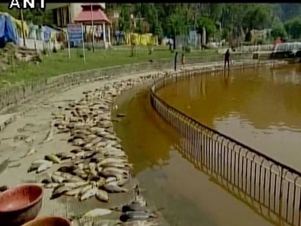 Himachal Pradesh (Representative image)