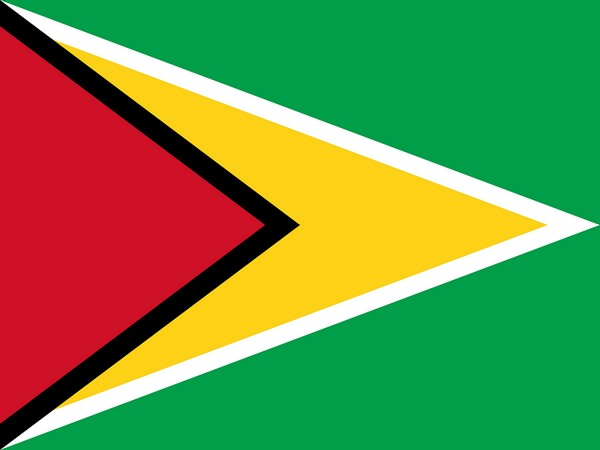 Guyanese flag