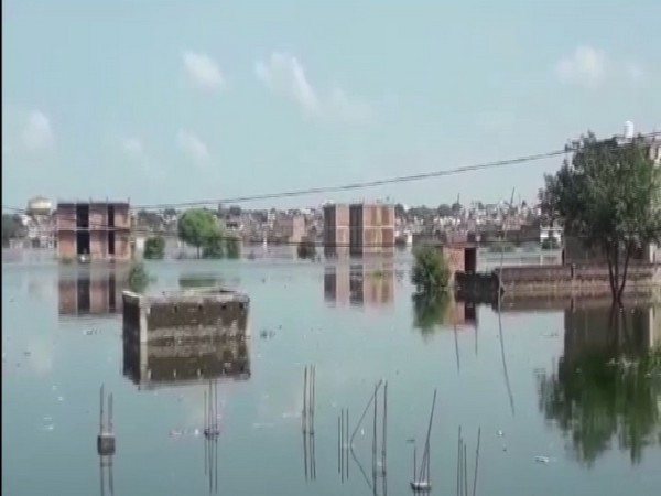Water bursts into Prayagraj villages as heavy rainfall continues. Photo/ANI