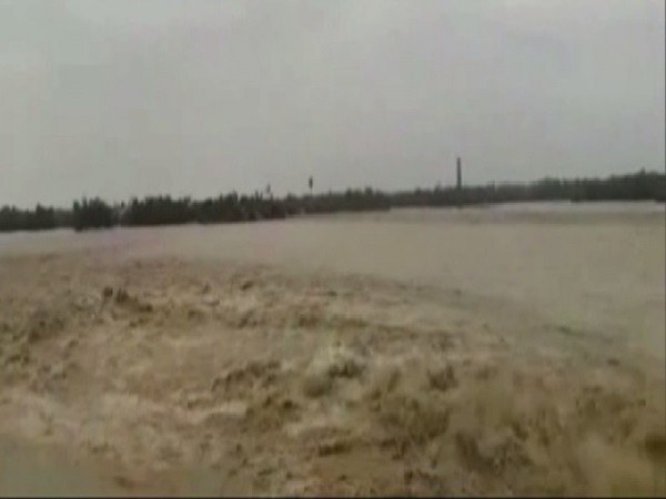 Flood has inundated several villages in Bihar's Darbhanga district. Photo/ANI