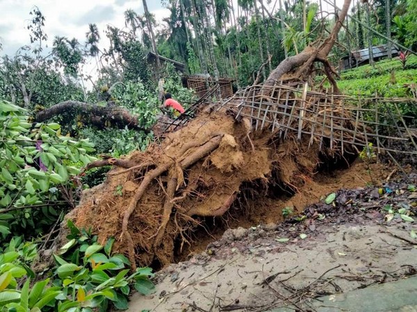 Visual of destruction caused due to heavy rainfall and severe storm in Assam (Photo/ANI) 