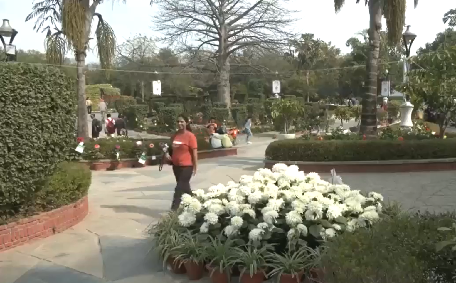 Spring In Delhi Best places in Delhi to witness spring blossoms