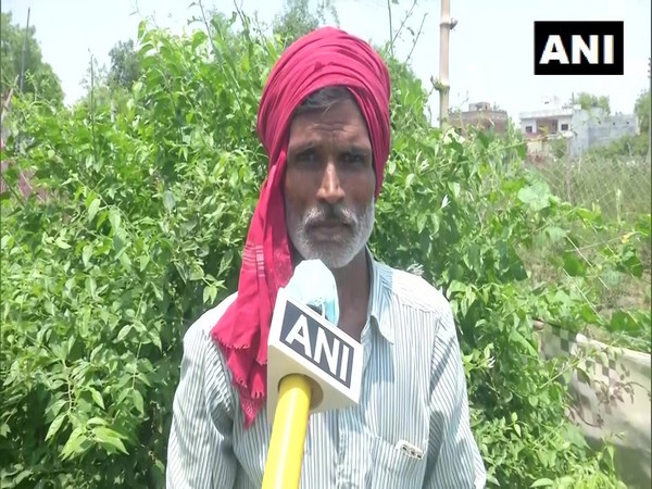 Umakant Maurya, one of the flower growers in Varanasi speaking to ANI.