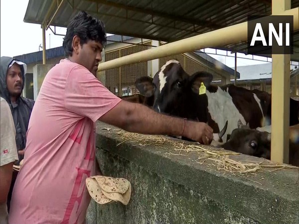Several animals, birds rescued from flood-like situation in Navsari. (ANI/photo)