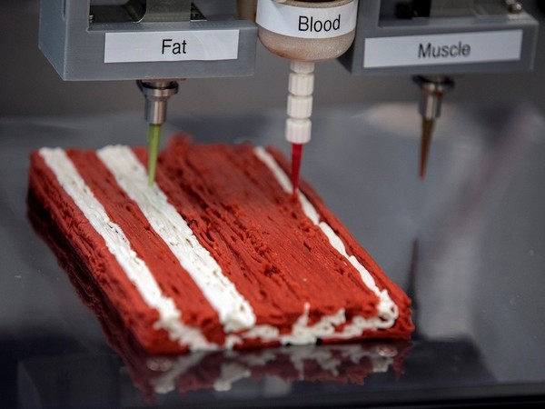 3D food printer (Image credit: Reuters)