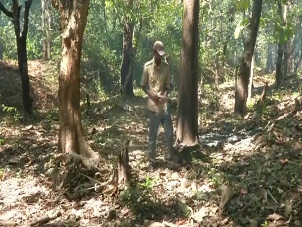 Shettihalli Wildlife Sanctuary [Photo/ANI]