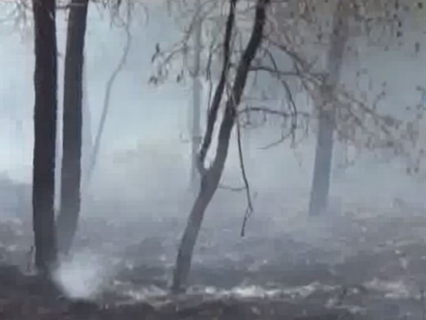 Fire erupted in Tehri forest on Sunday due to garbage 