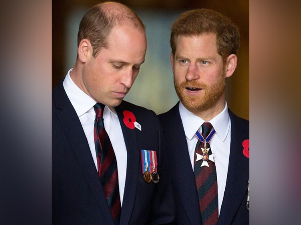 Prince William, Prince Harry (Image Source: Instagram)