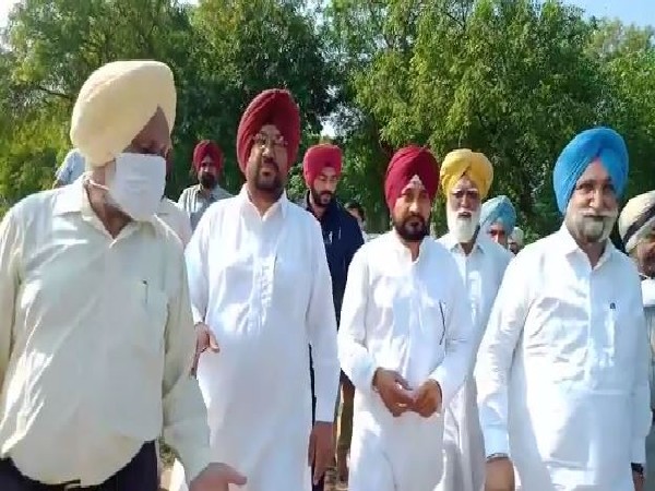Punjab CM Channi takes stock of crop destroyed due to pink bollworm infestation (Photo/ANI)