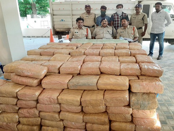 Visual of seized cannabis. Photo/ANI