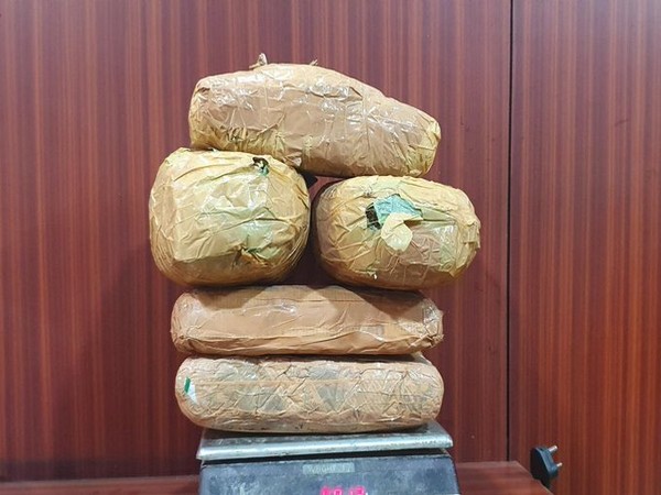 Ganja seized by CCB officials in Bengaluru. 