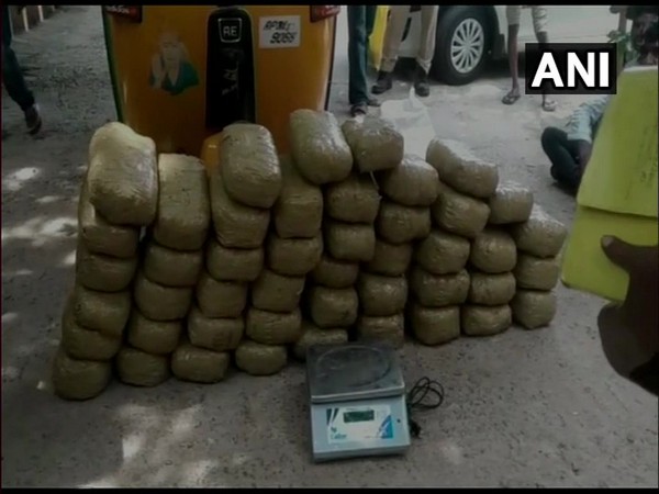 Cannabis seized by Andhra Pradesh police on Friday. Photo/ANI