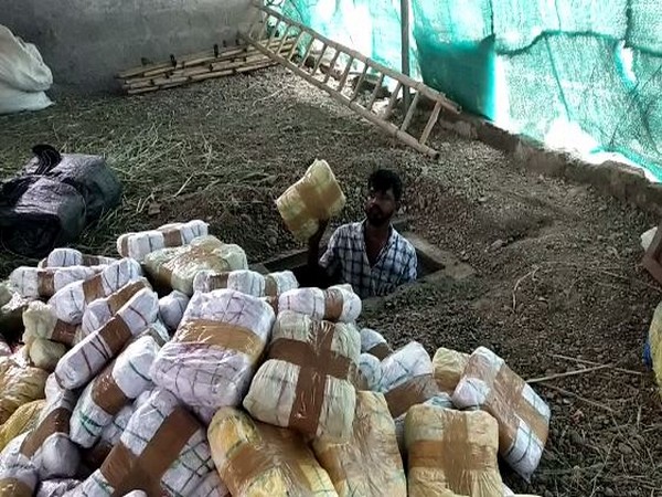 The accused had stored Ganja underground at a farm in Kalagi taluk of Kalburagi district. (Photo/ANI)
