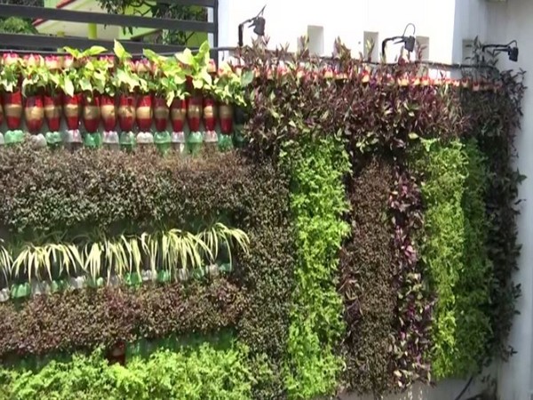 A visual of the vertical gardens in Jammu. (Photo/ANI)