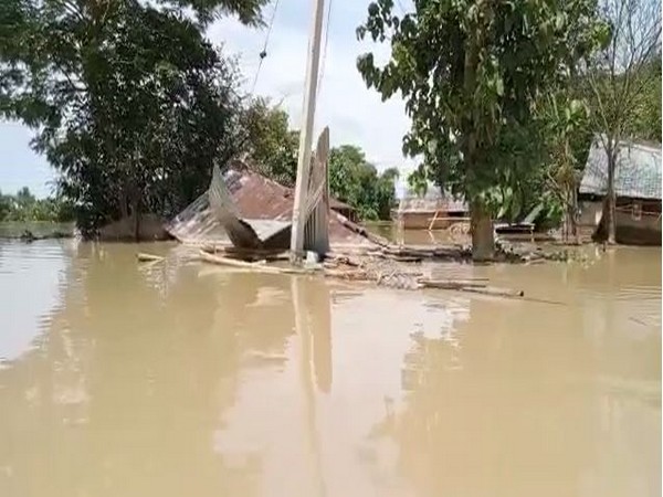Visuals from Assam's Kampur. (ANI/photo)
