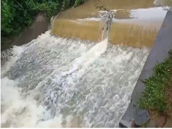 The Kondaiah Gari Vanka stream in the Chittoor district where the car was washed away. (Photo/ANI)