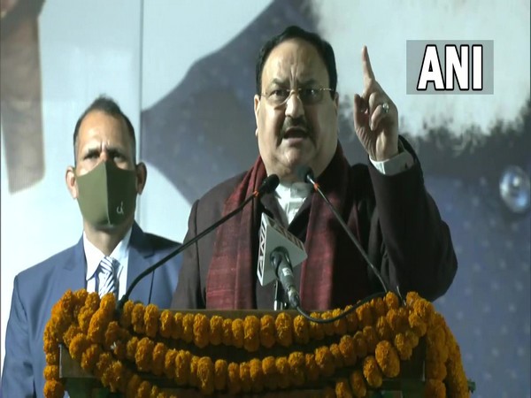 BJP National President JP Nadda (Photo/ANI)