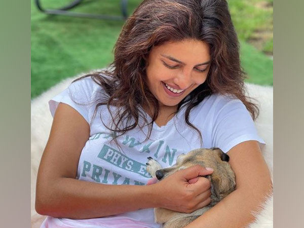 Priyanka Chopra embracing her pet Diana (Image Source: Instagram)