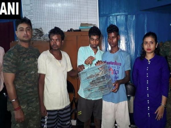 Belacoba Forest Range arrested three people and seized 15 Tockay gecko in Alipurduar in West Bengal. Photo/ANI