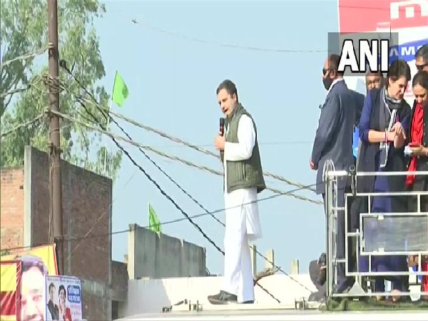 Congress leader Rahul Gandhi (Photo/ANI)