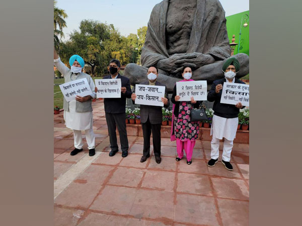 Congress MPs protesting against farm laws in front of Gandhi statue on Feb 2