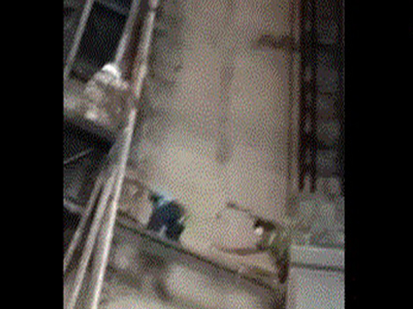 Visuals from the spot. (Photo/ ANI)