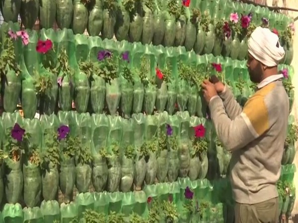 A worker planting flowers in Guru Ka Bagh in Amritsar in Punjab on Monday. Photo/ANI