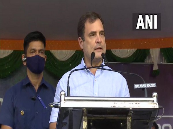 Senior Congress leader Rahul Gandhi (Photo/ANI)