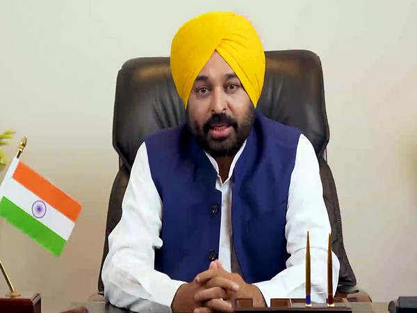 Punjab Chief Minister Bhagwant Mann (File photo)