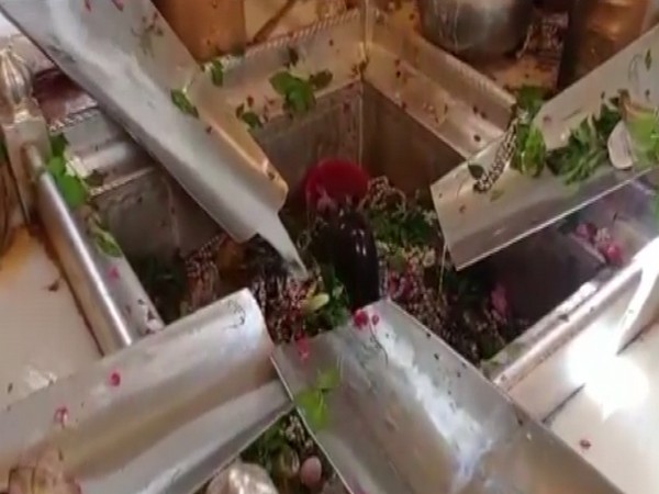 A visual from Kashi Vishwanath Temple in UP's Varanasi (Photo/ANI)