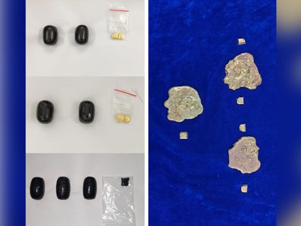 The gold paste and bits recovered from the three passengers who arrived from Dubai on Saturday night.