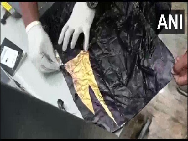 A visual of the seized gold. (Photo/ANI)