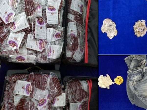 The gold and Iranian saffron seized at Chennai airport. (Photo/ANI)