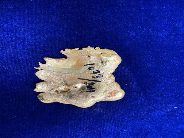 615 grams of gold valued at Rs 21 Lakhs seized at Chennai Airport