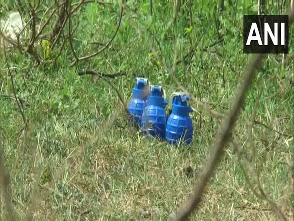 Visual of three grenades (Photo/ANI) 