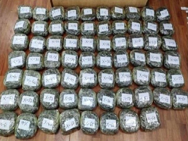Seized Hashish 