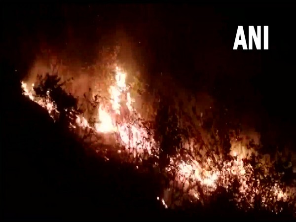 Fire rages in forest area of Uttarakhand's Tehri Garhwal (Photo/ANI)