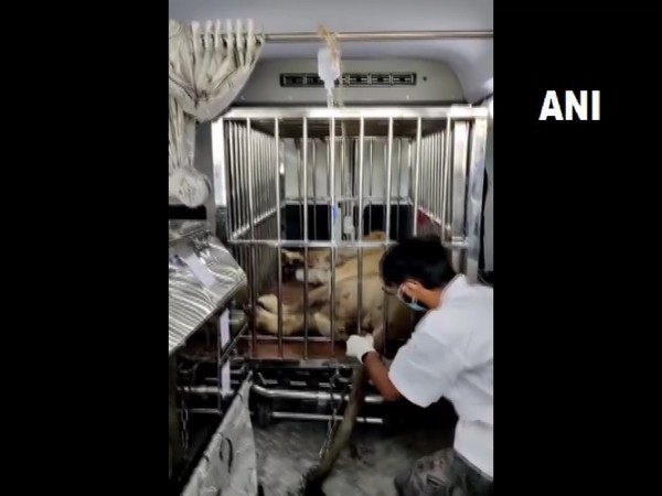 Representative image