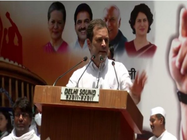 Congress leader Rahul Gandhi (Photo/ANI) 