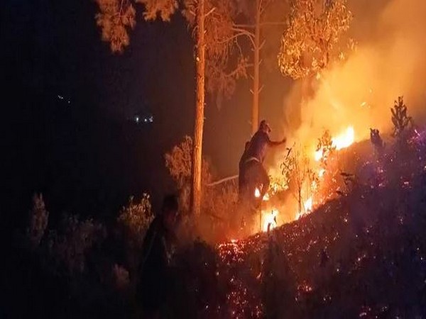 Visual of fire in Champawat Division (Photo/ANI)