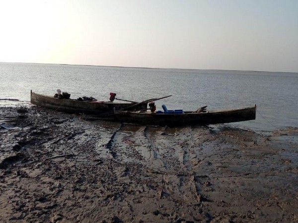 BSF seized five fishing boats from Pakistan in Harami Nullah area on Friday. Photo/ANI