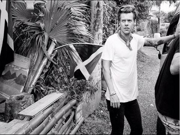 Harry Styles (Image courtesy: Instagram)