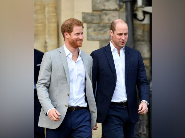  Prince Harry and Prince William
