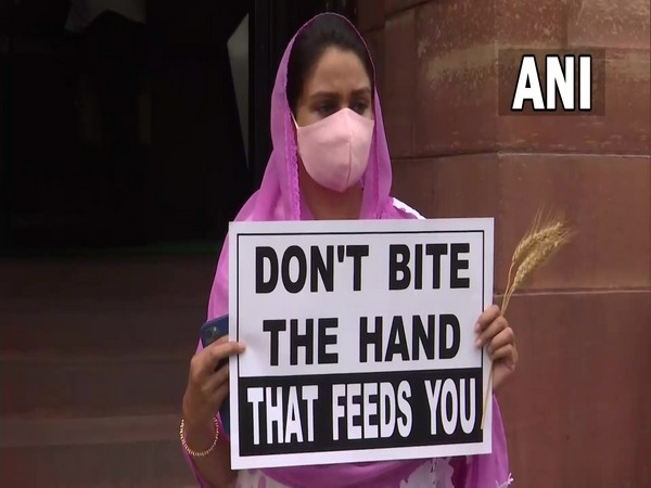 SAD MP Harsimrat Kaur Badal (Photo/ANI)